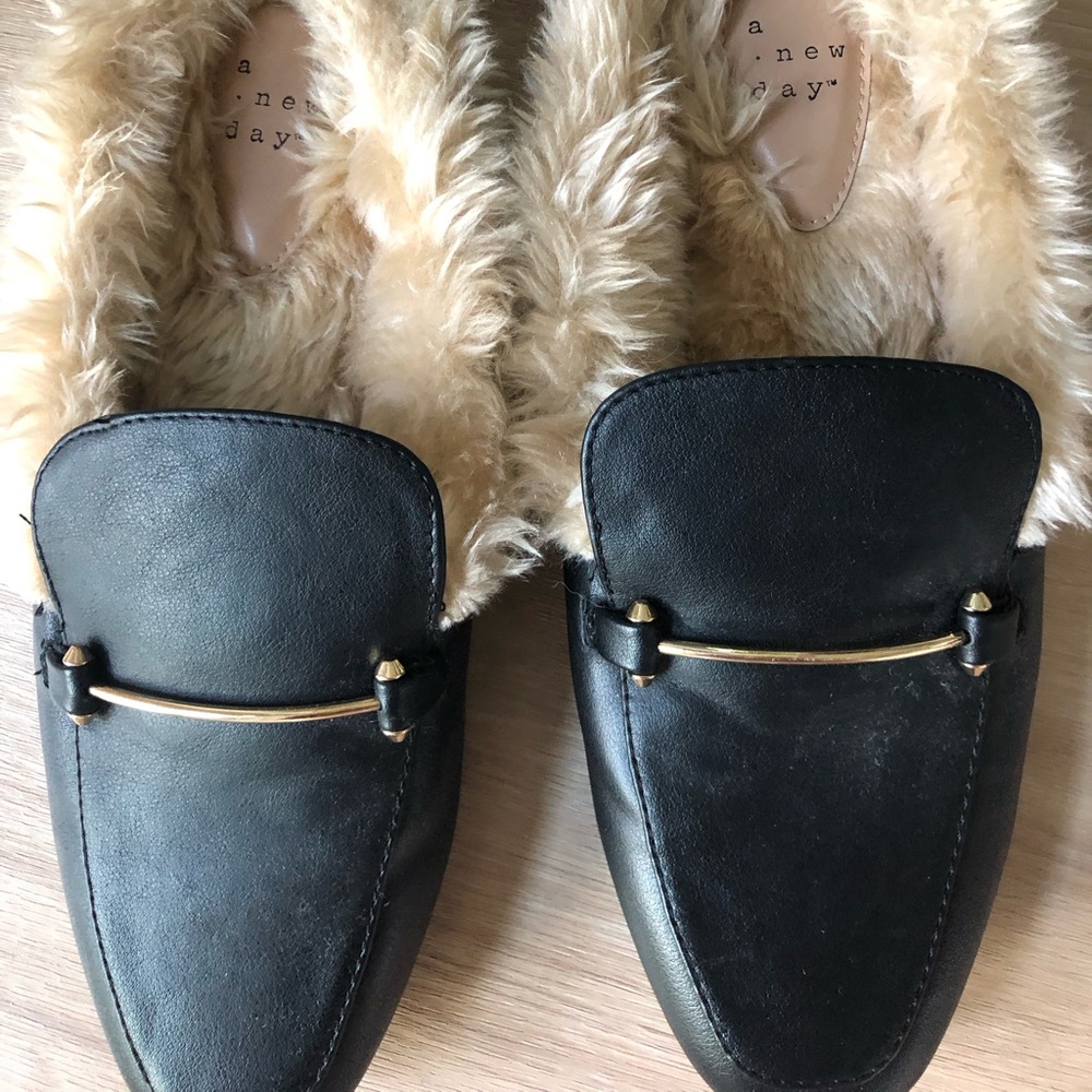 A new day mules